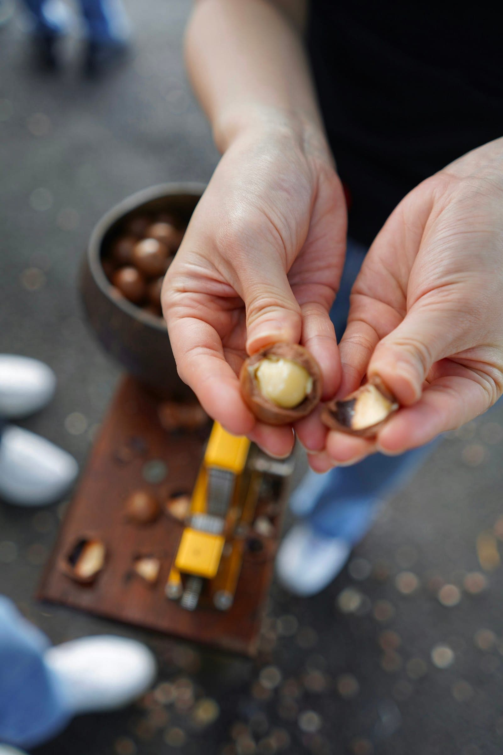 A macadamia nut cracked open to show the kernel inside its shell