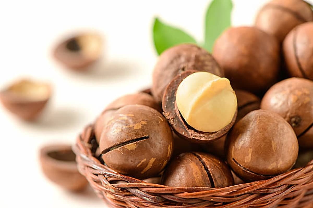 A basket of macadamia nut-in-shell with one cracked open to show the kernel