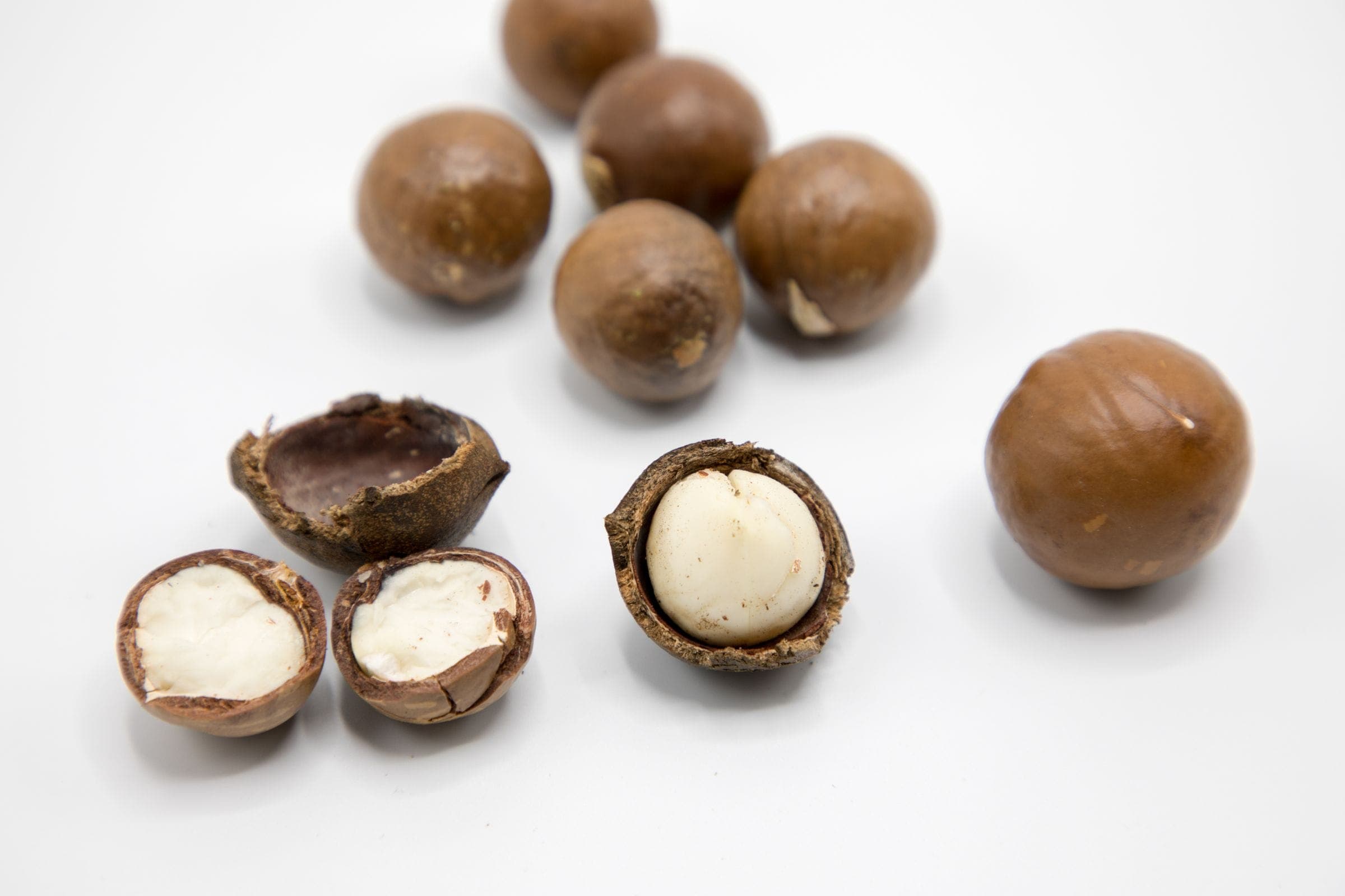 Whole macadamia nut-in-shell beside three cracked shells showing white kernels, on a white surface