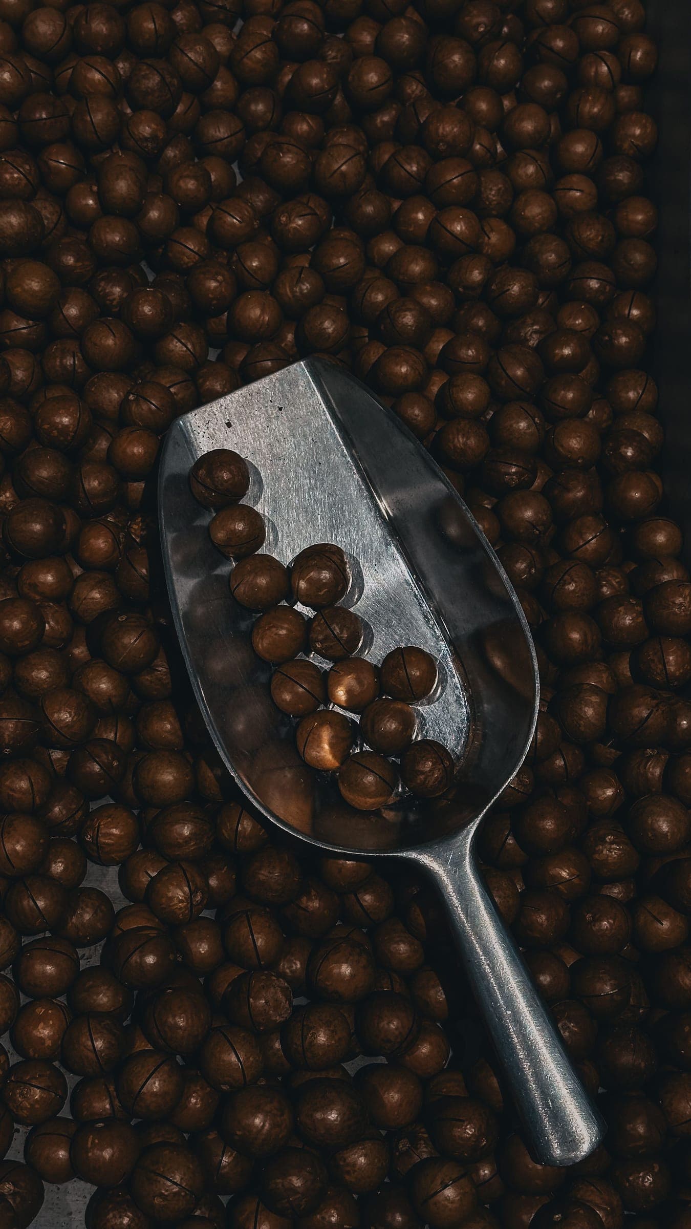 Macadamia nuts heaped in a metal scoop on a dark surface