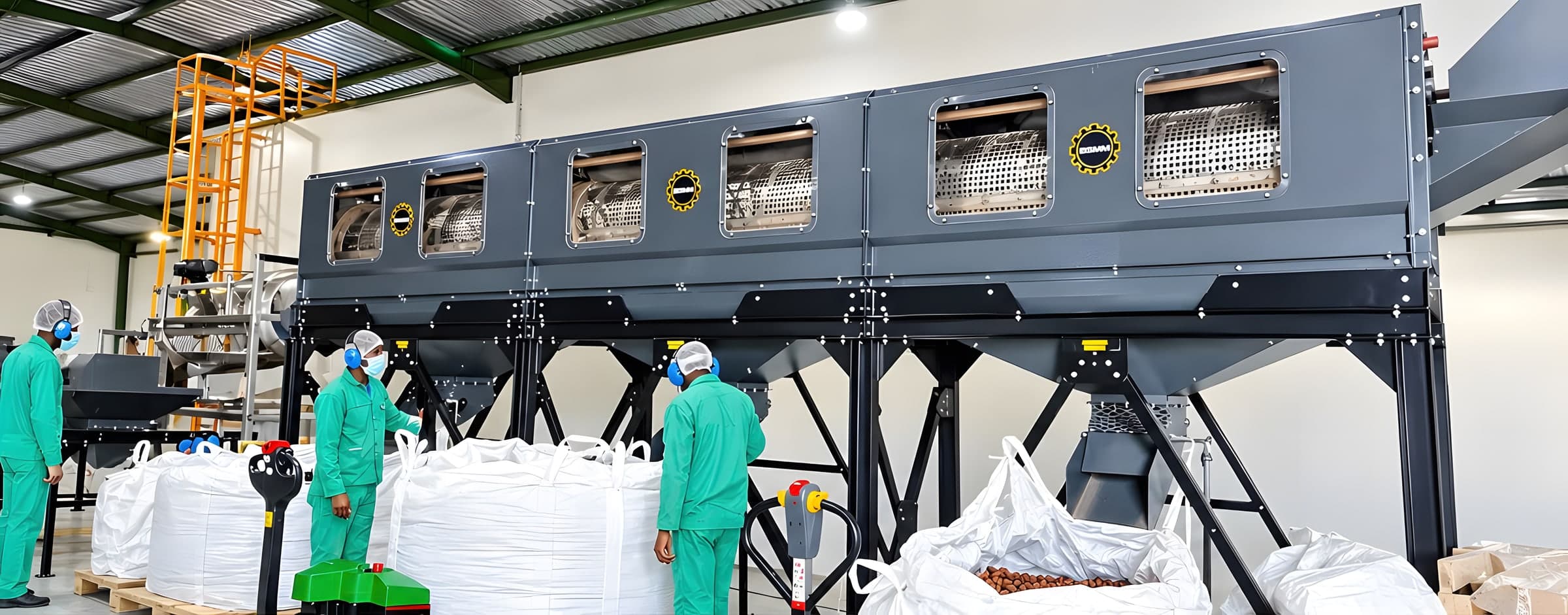 Workers beside a rotary drum sizer sorting macadamia nut-in-shell into bulk bags